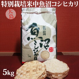 令和5年産新米☆特別栽培米中魚沼産コシヒカリ5kg(大島さん)