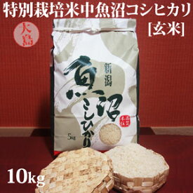 令和5年産新米☆特別栽培米中魚沼産コシヒカリ10kg(大島さん)[玄米]
