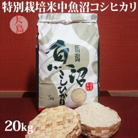 令和5年産新米☆特別栽培米中魚沼産コシヒカリ20kg(大島さん)