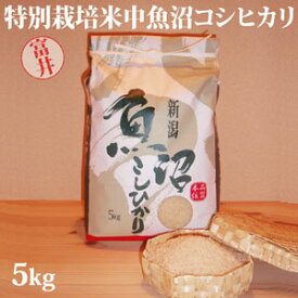 【楽天スーパーSALE 40%OFF！】令和7年産☆特別栽培米中魚沼産コシヒカリ5kg(富井さん)