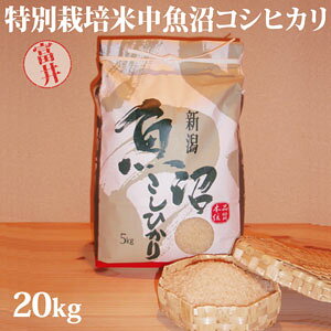 ߘa7NYVāxXgt@[}[F聙ʍ͔|ĒYRVqJ20kg(x䂳)