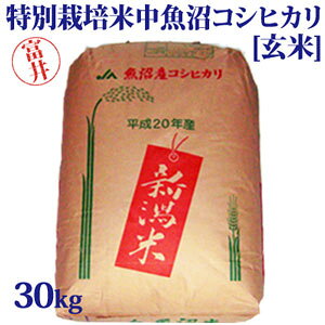 ߘa7NYVāxXgt@[}[F聙ʍ͔|ĒYRVqJ30kg(x䂳)[]