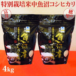 ߘa7NYVāɏ㖡킢~Zbgʍ͔|ĒYRVqJ4kg