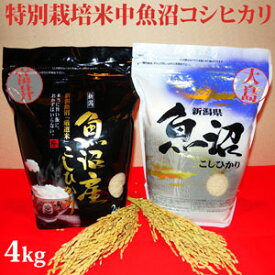 令和5年産新米☆極上味わい梅セット☆特別栽培米中魚沼産コシヒカリ4kg