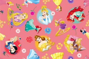 NZ ^тɕ֗ȓܕt W[V[g 1~2lp STCY 60×90cm { sNjbN W[  fBYj[ vZX 13410