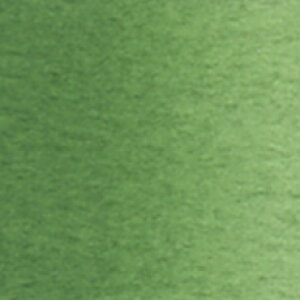zxC@ʊGPF [w065] 2`[u@O[ni5mlje[xg