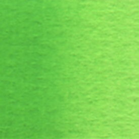 ホルベイン　透明水彩絵具単色 [w066] 2号チューブ　グリーン系（5ml）パーマネント　グリーン　No.1
