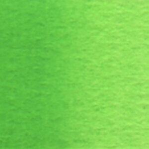 zxC@ʊGPF [w266] 5`[u@O[ni15mljp[}lg@O[@No.1