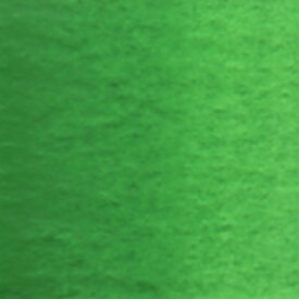 ホルベイン　透明水彩絵具単色 [w067] 2号チューブ　グリーン系（5ml）パーマネント　グリーン　No.2