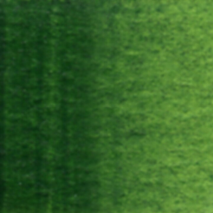 ホルベイン 透明水彩絵具単色 [ｗ075] 2号チューブ グリーン系（5ml）サップ グリーン 中善画廊