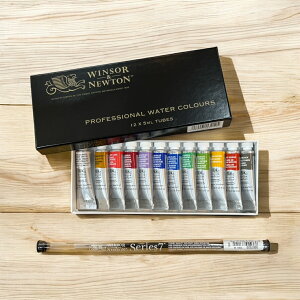 y20Nʉizō RXL[ M V[Y7 tZbgEBU[  j[gvtFbVi EH[^[J[5ml`[u 12F ZbgWINSOR&NEWTON W&N   G