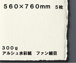 y񂹕izARCHES AV ʎ V[g 300g/m2 560×760mmt@ ז 5