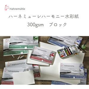 �n�[�l�~���[�� �n�[���j�[ ���ʎ� �u���b�N 24 x 30 cm�iF4�j �X�P�b�`�u�b�N