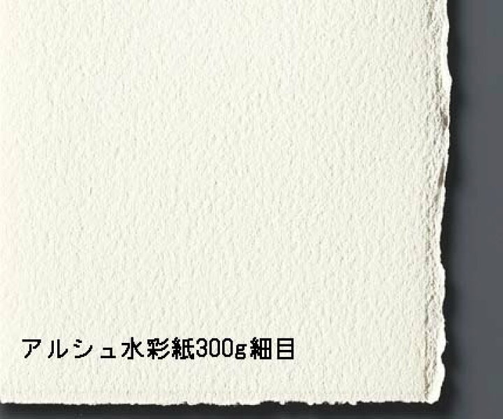 楽天市場】【送料無料】【お取り寄せ品】アルシュ ブロック 300g/m2 