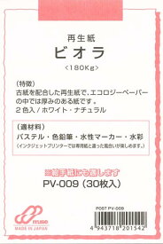 ミューズ ポストカード ビオラ ・55 [PV-009]ハガキサイズ 30枚入り ハガキ 無地