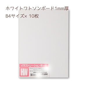 y񂹕iz~[Y CXg[V{[h zCg g\ 1mm B4TCY 10 CXg{[h