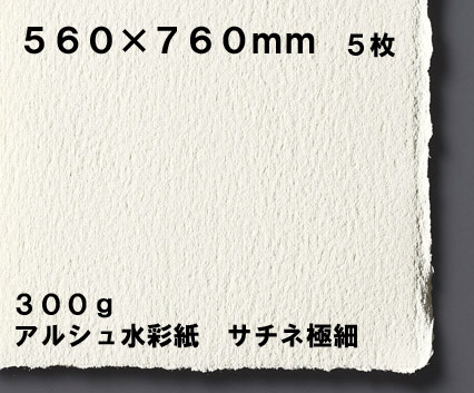 【お取り寄せ品】ARCHES アルシュ 水彩紙 シート 300ｇ/m2 560×760mmサチネ 極細 ５枚