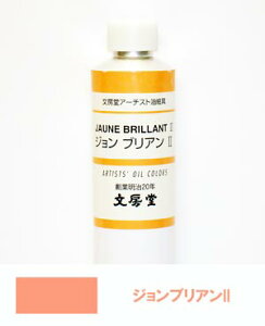 文房堂アーチスト油絵具30号チューブ076 ジョンブリアン2【お取り寄せ商品】