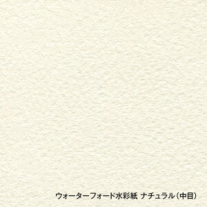 yzzxC@EH[^[tH[hEi`ʎ[i1524×10mjy[J[iEsEwsz