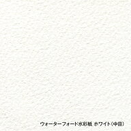 【送料無料】ホルベイン ウォーターフォード・ホワイト 水彩紙ロール（1524幅×10m）【メーカー直送品・…