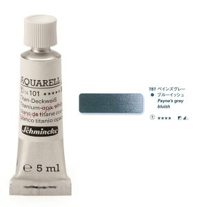 y񂹕izSchmincke(V~P)z_ʊG@5ml`[u787 yCYO[u[CbV