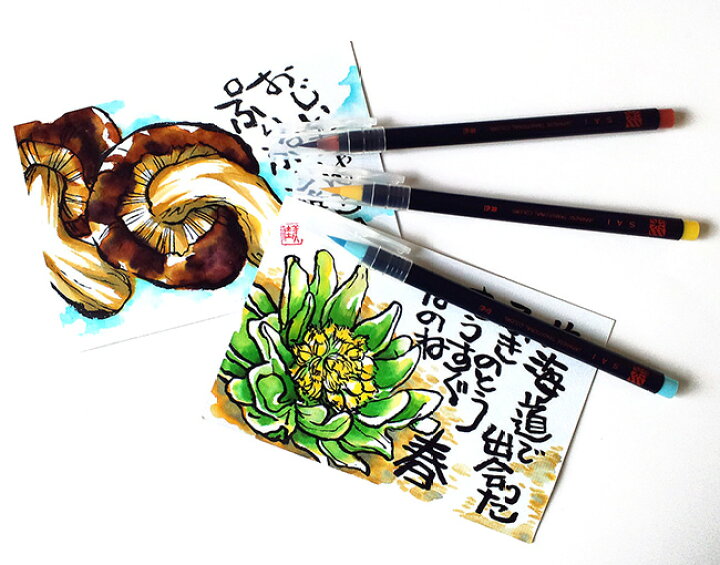 楽天市場 絵手紙 イラスト 水彩画がより身近に あかしや 水彩毛筆 彩 30色セット 中善画廊