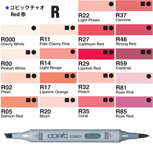 COPIC �R�s�b�N�`���I�P�F�@R000�`R85