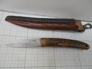 cF JX^iCt ZDP-189ϑw_}XJXu[h XB[gn[g(F-207) {̂̂