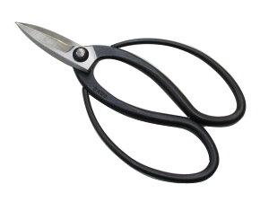 A ʍ (㋉i) 19cm { A؂͂ A؂΂ 