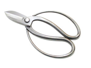 Ԃ΂  ʍ XeX| × { Ԃ͂ ؓ ԁ@