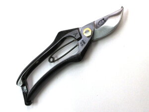  v 18cm A^ {(R`s) ͂ ΂
