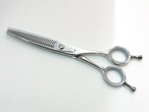 RXX~X ͂ v XeX| 170mm O[ { XLnT~ XL 