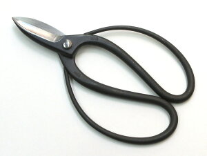 A  No.503 Aؗp 18.5cm { A؂΂ MASAKUNI