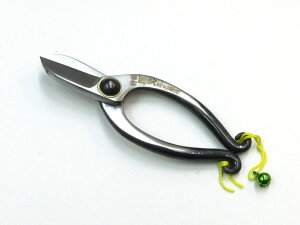  (M) Ԃ΂ ^  rV o (㋉i) | 12Z` { r̖V  ؓ 