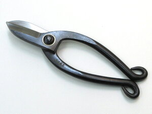 Ԃ΂  񂩂 rV { rV r̖V Ԃ͂ ؓ 