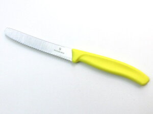rNgmbNX g}ge[uiCt gniCt CG[ XCX KAi VICTORINOX g}gxW^uiCt