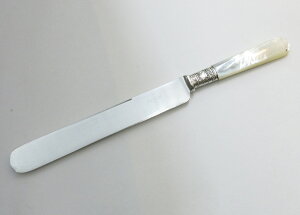 w (Xp`[) AeB[Ni Lnh Vo[bLu[h GNZgNX (D-809) {̂̂