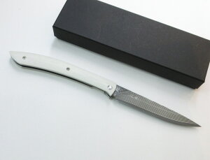 m iCt tH[fBOXe[LiCt R2nCX_}XJX| zCgnh { (E-593) Saji Takeshi