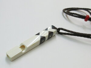 cF JX^Ch zCbX ĂѓJ (K-156) {̂̂