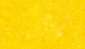 ML-2939~ML-3891}[E tXR^W} }[EV[Y (2.5mm) mEV[g 2m × 10m(70kg)