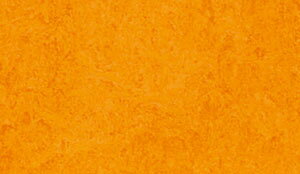 ML-2939~ML-3891}[E tXR^W} }[EV[Y (2.5mm) mEV[g 2m × 10m(70kg)