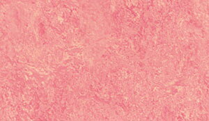 ML-2499~ML-3847}[E A^W} }[EV[Y mEV[g [ς菤i]