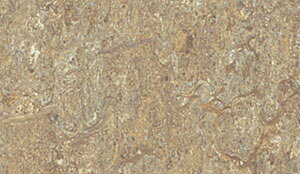 ML-5801,ML-5802,ML-5803,ML-5804}[E e^W} }[EV[Y(2.5mm) mEV[g 2m × 10m(70kg)
