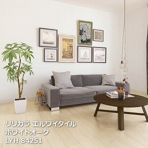 LYH84251 zCgI[N J GC^C2023-2026 150 x 914.4 x 2.5mm 24/P[X]