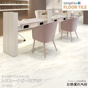 KT-2013TQc tA^C gXJ[iS[h WF[457.2mm x 457.2mm x 2.5mm 18/1P[X] yFLOOR TILE2023-2026z