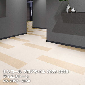 MS-2057,MS-2058,MS-2059,MS-2060VR[ tA^CRNV2022 CXg[ 457.2mm x 457.2mm x 20/1P[XyPASO 2022-2025z