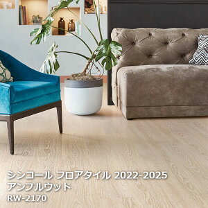RW-2170,RW-2171VR[ tA^CRNV2022 AvEbh 152.4mm x 914.4mm x 24/1P[XyPASO 2022-2025z