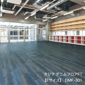 DMF-301fjtAFTyFTCYz[180x 1260 x 3mm x 13/P[X(2.95m)] y}eB EbhC2022-25 z^W}^CRNV