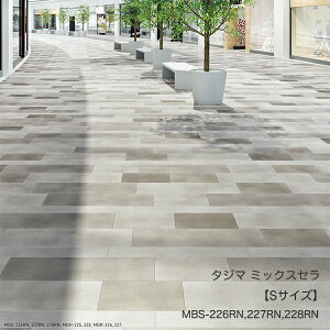 MBS-225RN~MBE-231RN~bNXZySTCYz[304.8x 457.2 x 3mm x 22/P[X(3.07m)] y}eB EbhC2022-25 z^W}^CRNV