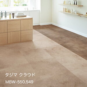 MBW-550,MBW-551NEh[609.6x 609.6x 3mm x 10/P[X(3.72m)] y}eB EbhC2022-25 z^W}^CRNV